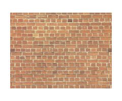 Carton Wall “Red Brick”